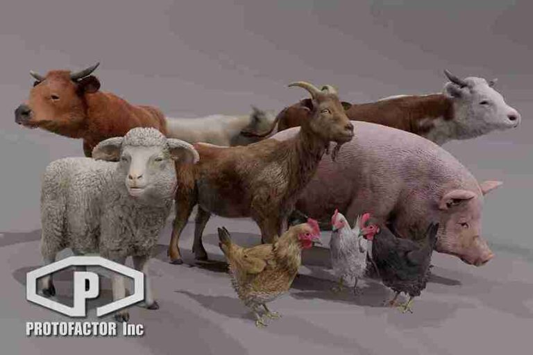 Read more about the article FARM ANIMALS PACK