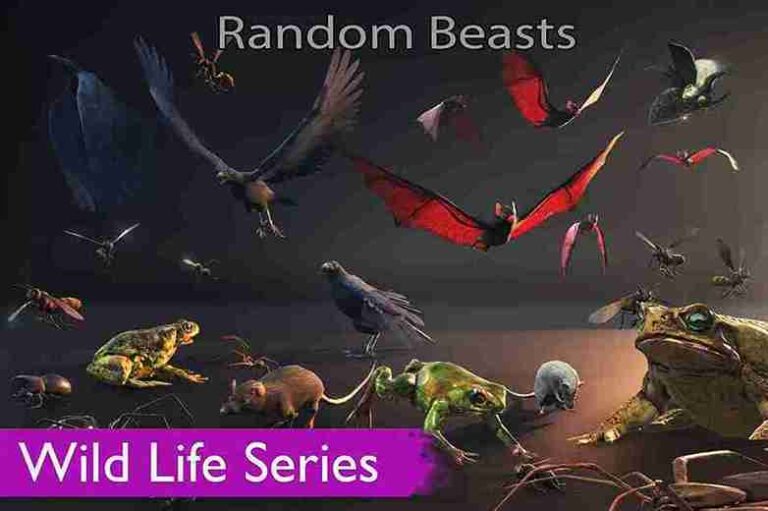 Read more about the article Wild Life – Random Beasts