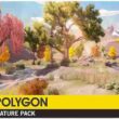 POLYGON Nature – Low Poly 3D Art by Synty