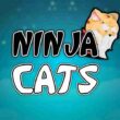 2D Ninja Cats Character Set Spine