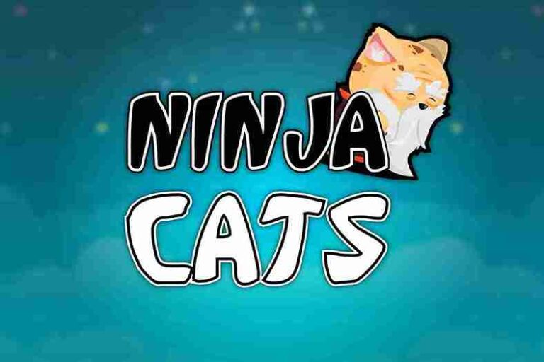Read more about the article 2D Ninja Cats Character Set Spine