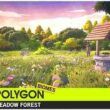 Polygon NatureBiomes – MeadowForest