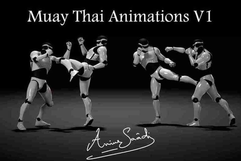 Read more about the article Combat animations – Kickboxing and Muay Thai V1