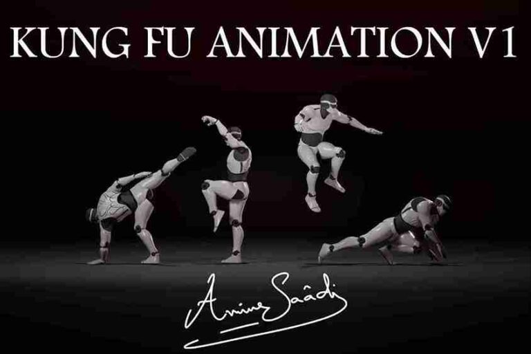 Read more about the article Combat animations – Kung fu V1