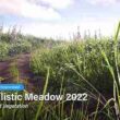 Realistic Meadow 2022 – Ground Vegetation