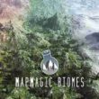 MapMagic 2 Biomes and Functions