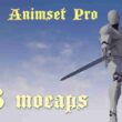 Sword Animset Pro