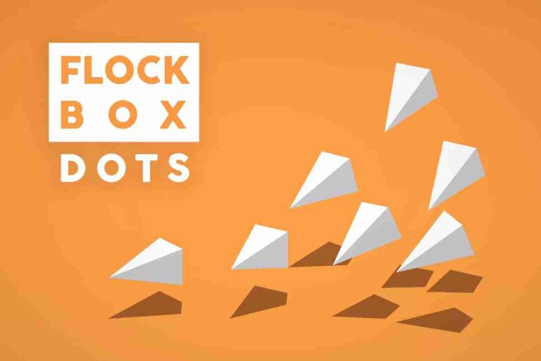 Read more about the article Flock Box DOTS