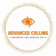 Advanced Culling System 2 : Revamped and Boosted Up!